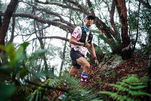 BIB: 
                            <button type="button" onclick="openModal(26296023)" class="btn btn-primary btn-sm float-right btn-popup" data-toggle="modal" data-target=".modal-high-quality">
                        <i class="fas fa-shopping-cart"></i> Add to Cart
                    </button>
                                            <button type="button" onclick="isThisMe(26296023, true)" class="btn btn-success btn-sm float-right btn-popup btn-isme hidden" data-toggle="tooltip" data-placement="bottom" title="นี่คือรูปของคุณใช่ไหม คลิกที่นี่เพื่อเอาเข้าอัลบั้ม">
                        <i class="fas fa-plus"></i> Add to album
                    </button>
                    <button type="button" onclick="isThisMe(26296023, false)" class="btn btn-warning btn-sm float-right btn-popup btn-isnotme hidden">
                        <i class="fas fa-ban"></i> Remove from album
                    </button>